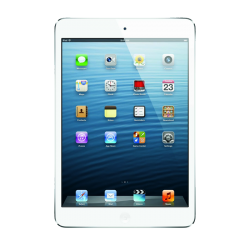 iPad Mini Screen Repair